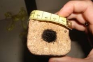 Holzbriketts 8 Eckig mit Loch