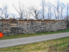 Kaminholz